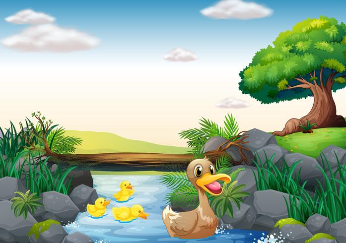 Patos y rio vector