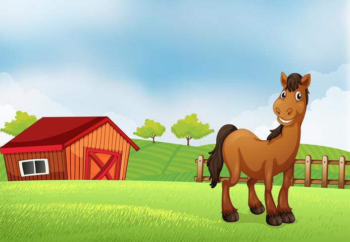 A horse at the farm vector