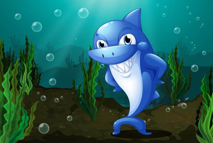 A blue shark under the sea vector