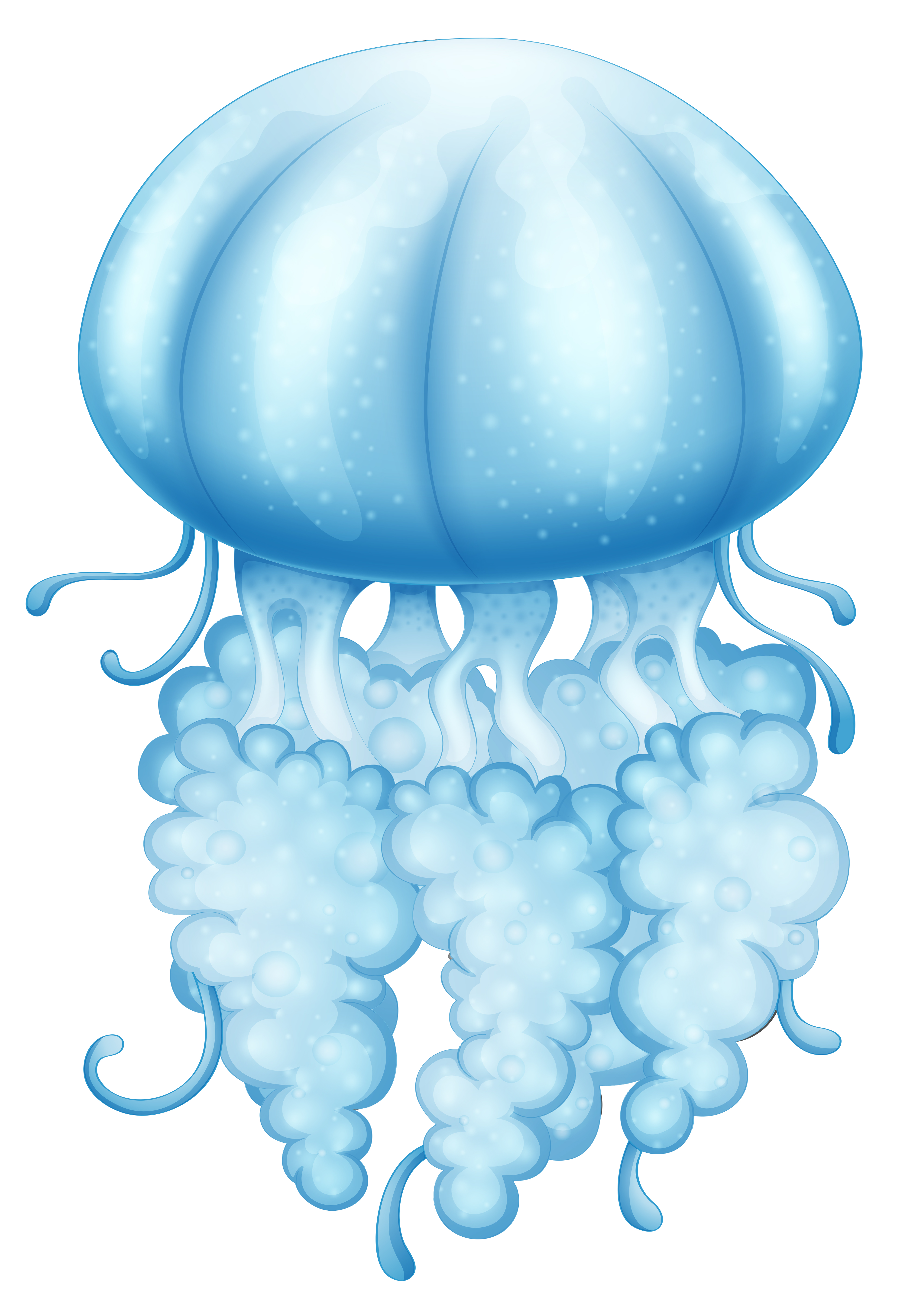 A blue jellyfish 525571 Vector Art at Vecteezy