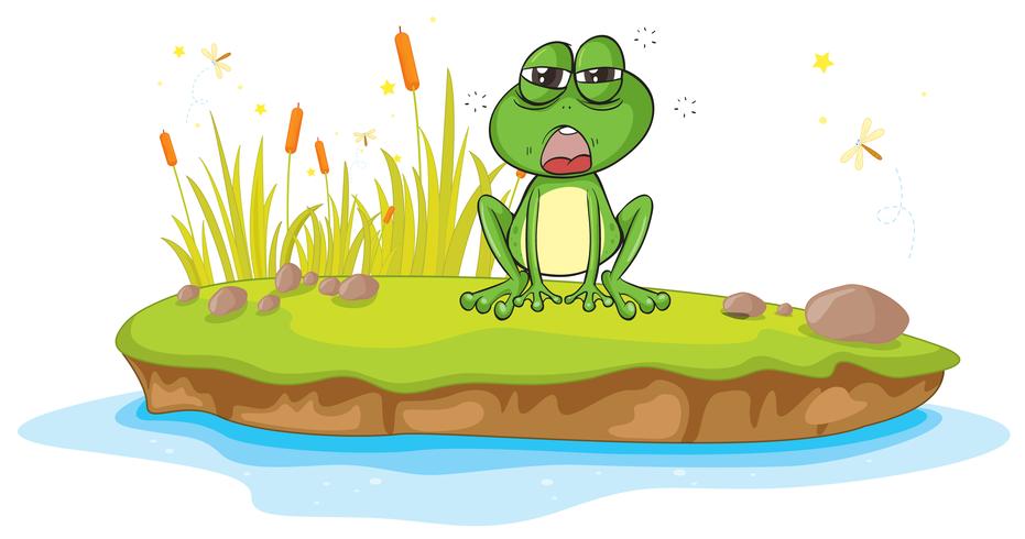 a frog and a water vector