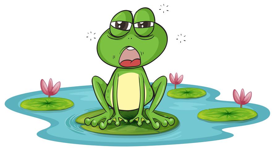a frog and a water vector