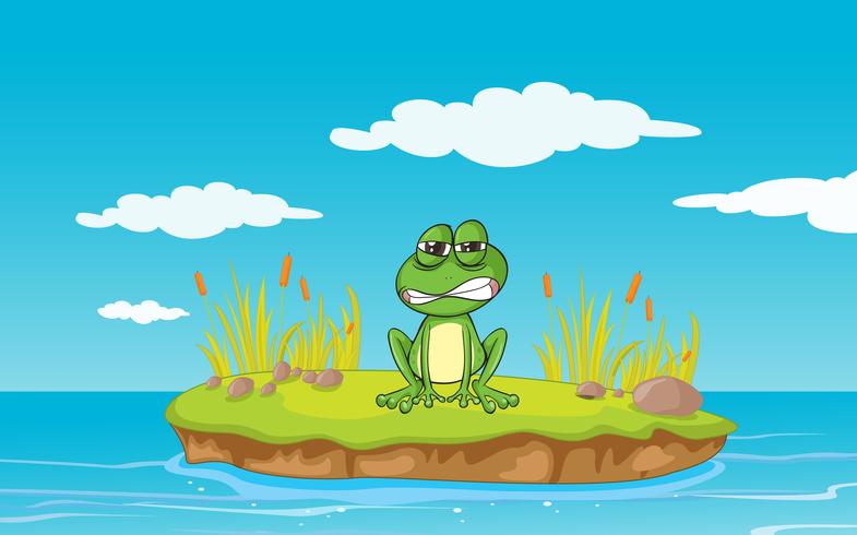 a frog and a water vector