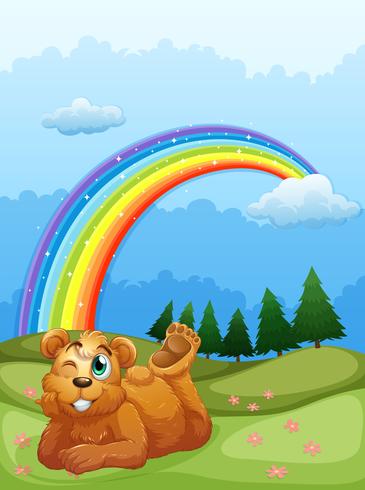 Un oso en la colina con un arco iris en el cielo. vector