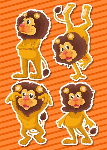 Lion set vector