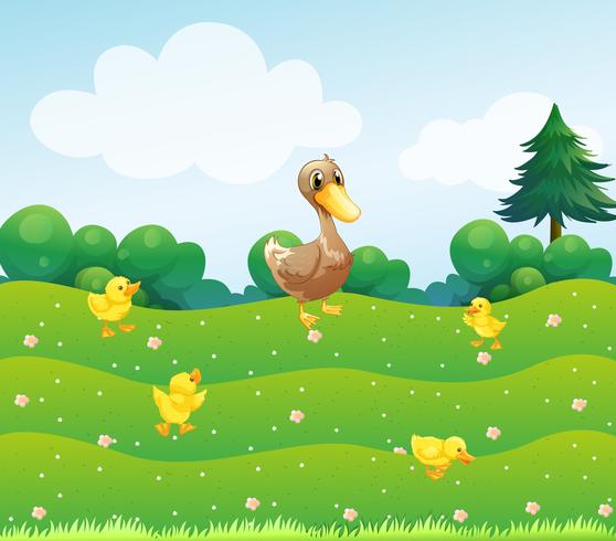 A mother duck and her ducklings in the bushes vector