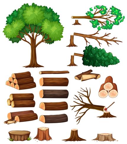 Tree and stump trees vector