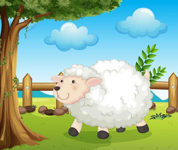 A sheep inside the fence vector