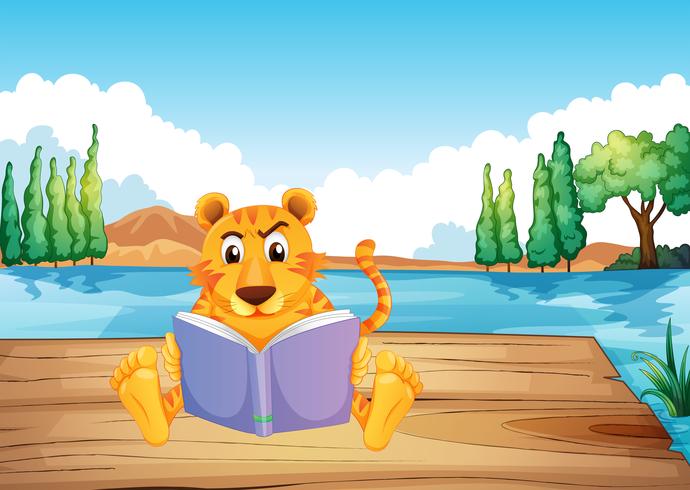 Un tigre serio leyendo un libro en el trampolín. vector