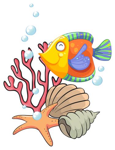 Different sea creatures vector