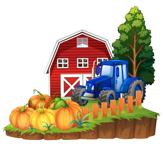 Escena de la granja con tractor azul y calabazas vector