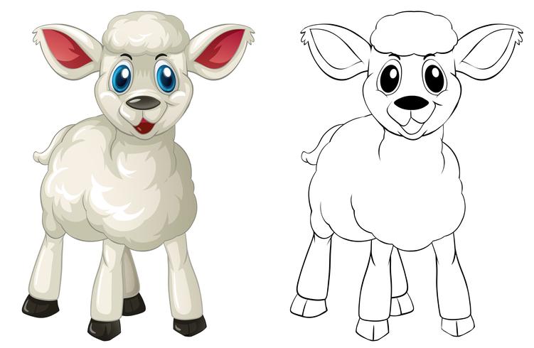 Doodle animal for little lamb vector
