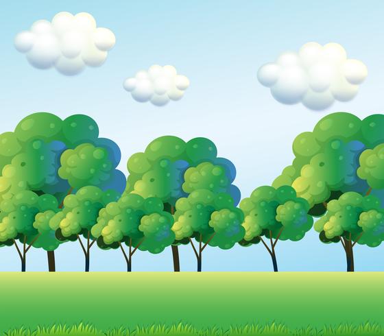 The green trees vector