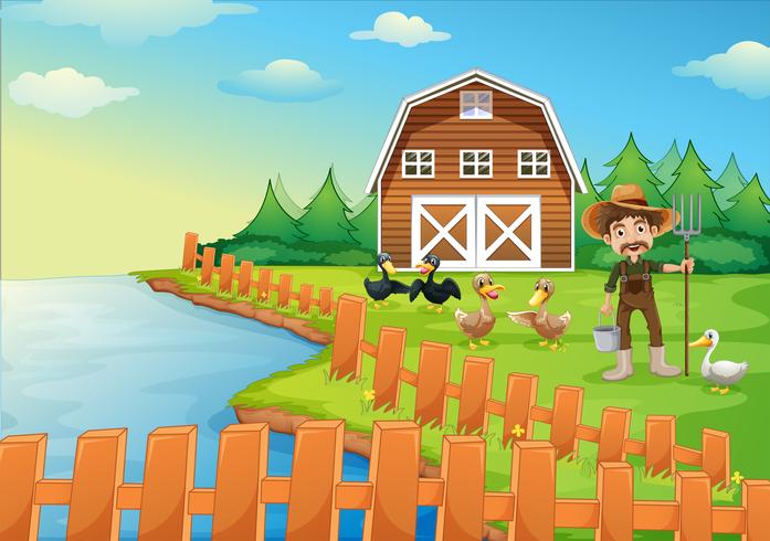 A farmer feeding his ducks vector