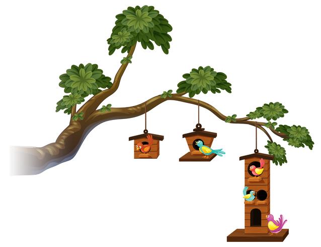 Birdhouses with birds on the branch vector