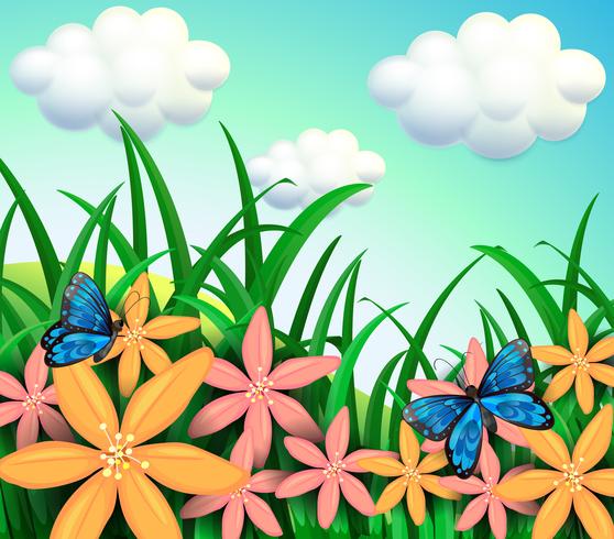 Butterflies and flowers at the garden  vector