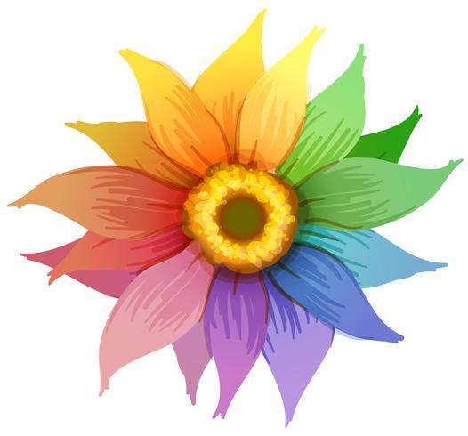 A rainbow flower vector