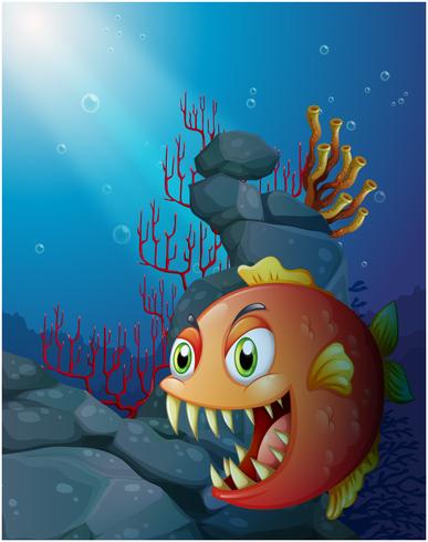 Scary piranha under the sea near the rocks vector