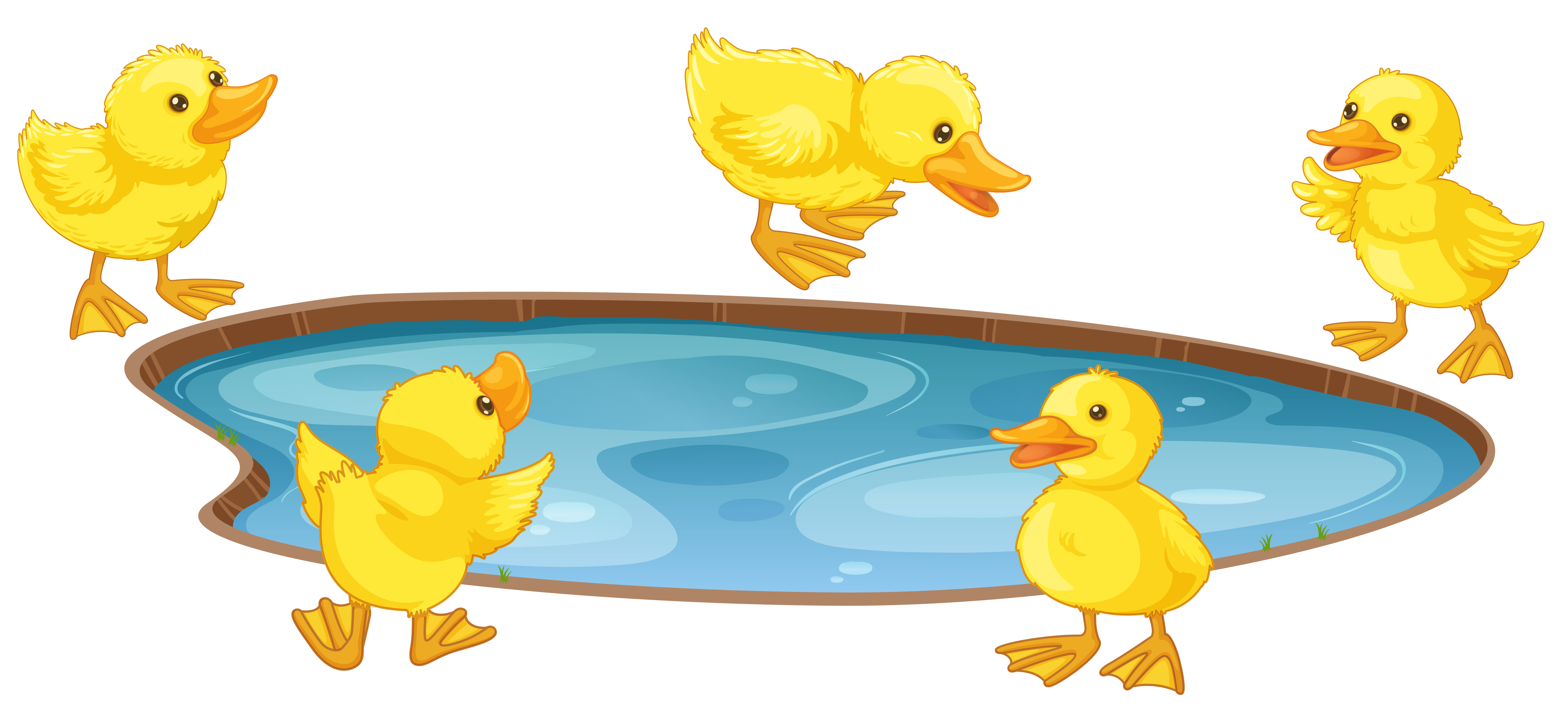 five-little-ducks-around-the-pond-525897-vector-art-at-vecteezy