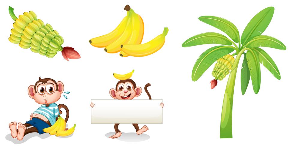 Bananas and monkeys with an empty signboard vector