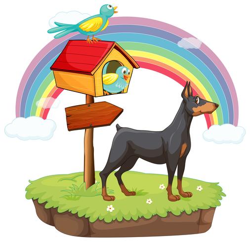 An island with animals and a wooden arrow vector