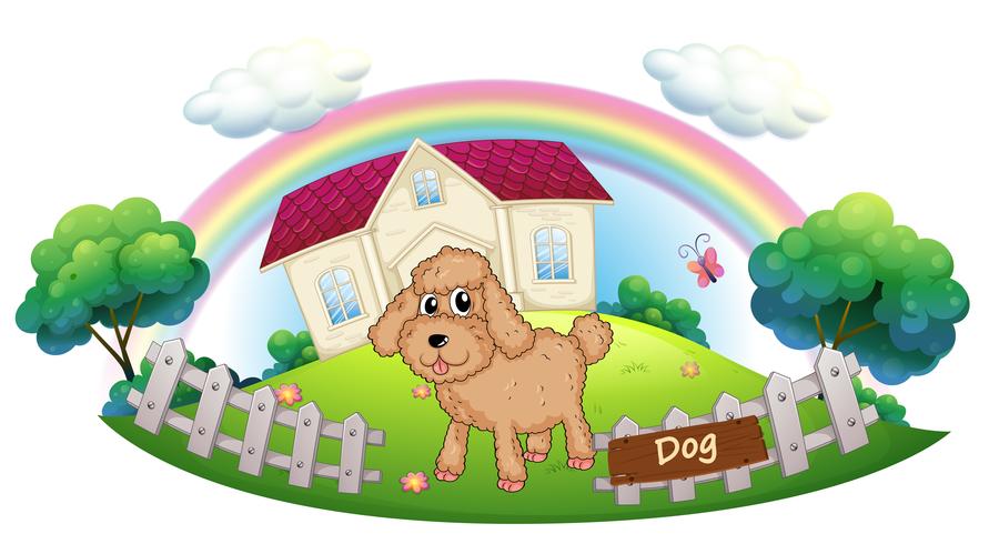A brown puppy in front of a house vector