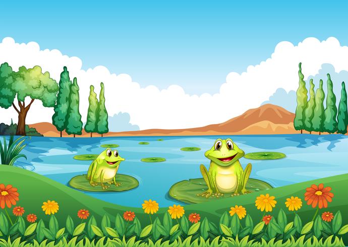 Two playful frogs at the pond vector