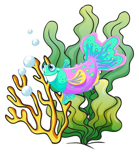 A colourful smiling fish under the sea vector