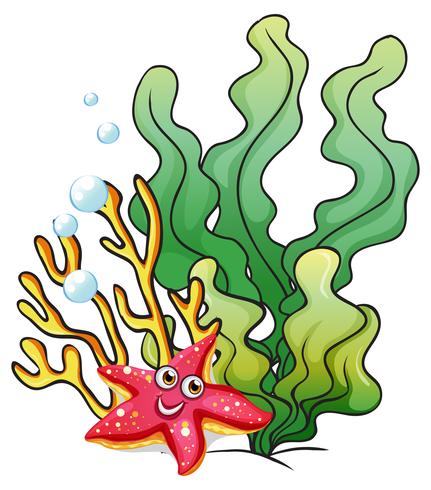 Récifs Coralliens Avec Une étoile De Mer Souriante