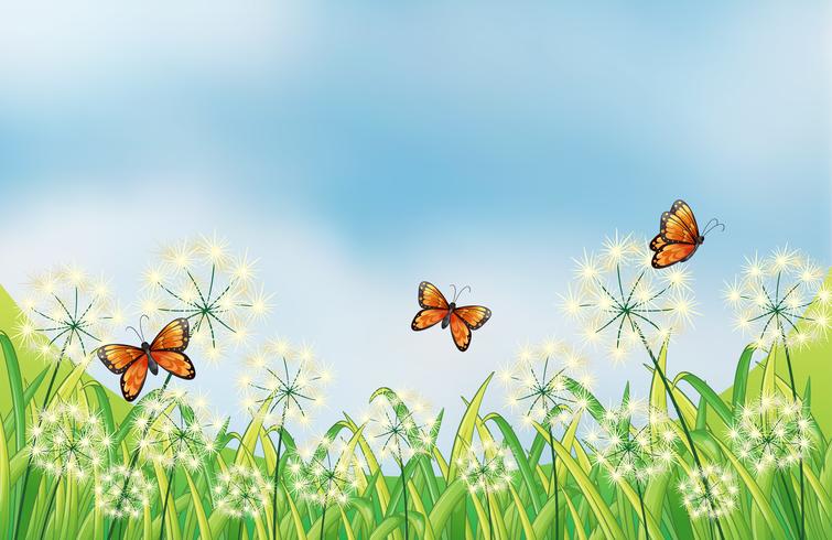 Orange butterflies vector