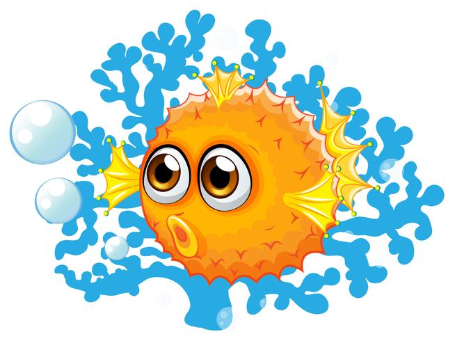 A puffer fish vector