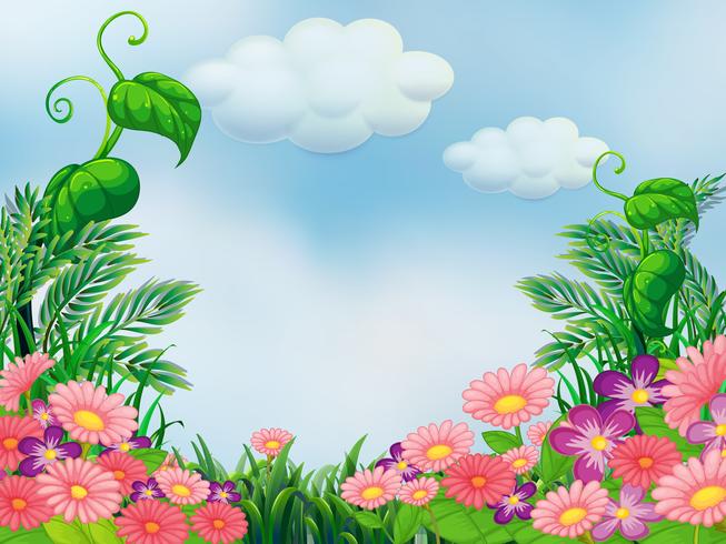 Un jardín con flores rosas y violetas en flor. 526090 Vector en Vecteezy Un jardín con flores rosas y violetas en flor. 526090 Vector en Vecteezy
