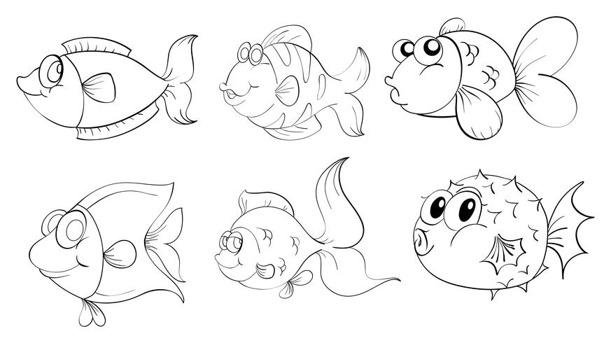 Different fishes in a doodle design vector