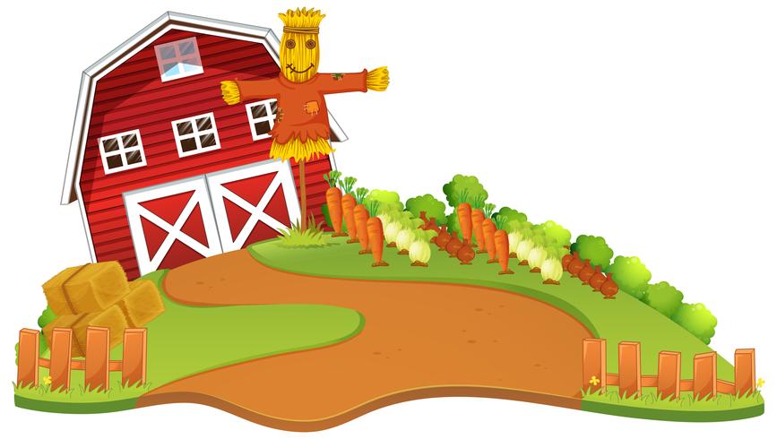 Farm scene with scarecrow and vegetables garden vector