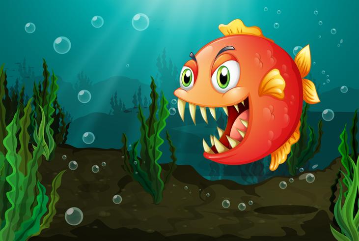 A piranha under the sea with seaweeds vector