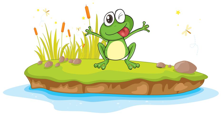 a frog and a water vector