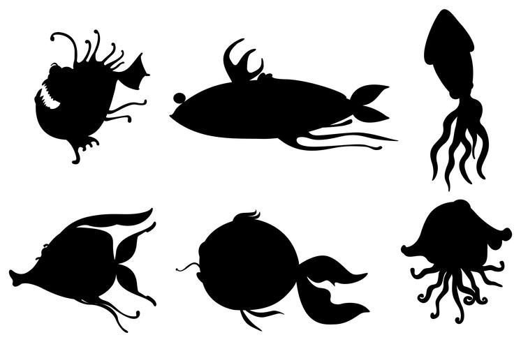 Silhouettes of sea creatures  vector