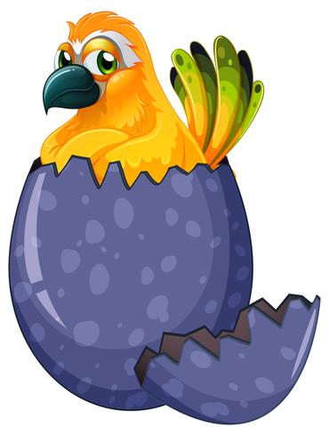 Huevo de incubación de pájaro guacamayo amarillo vector