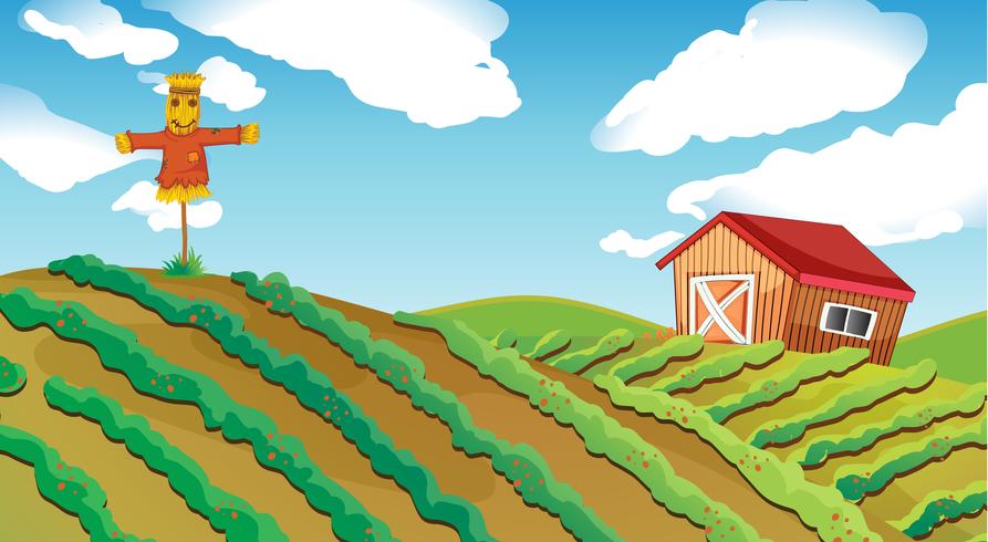 Farm House vector