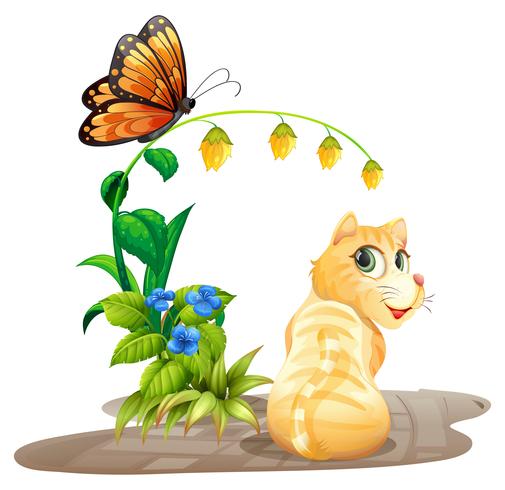 Cat and butterfly vector