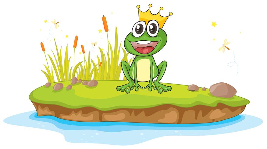 a frog and a water vector