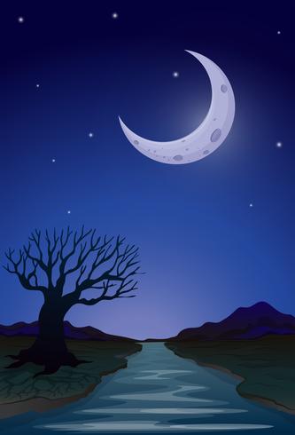 A moonlight view vector