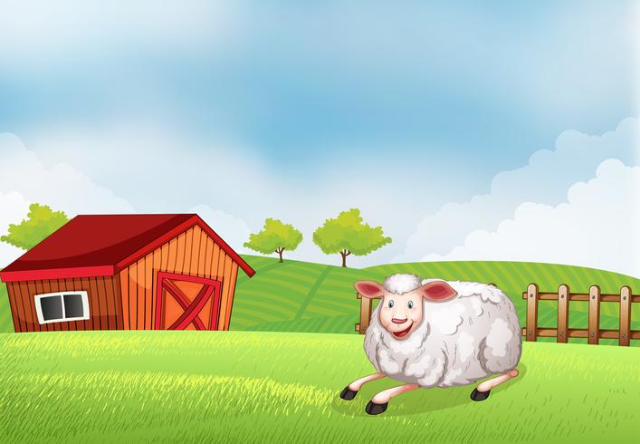 A sheep lying on the farm with a barn  vector