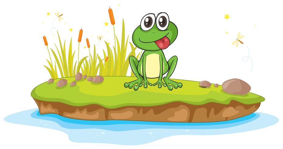 a frog and a water vector