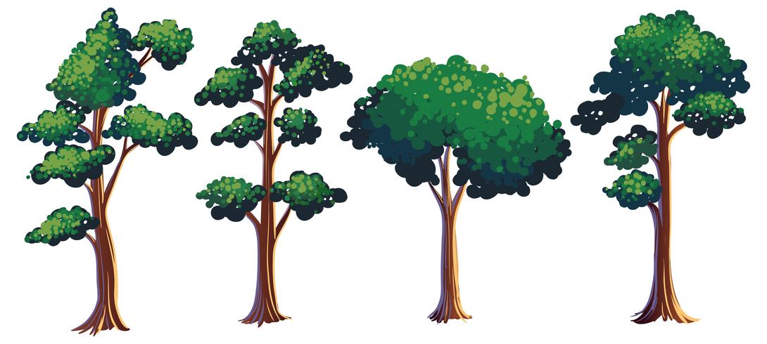 Set of different tree vector