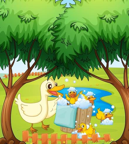 A smiling duck and duckling vector