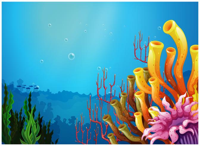 A beautiful view under the sea vector