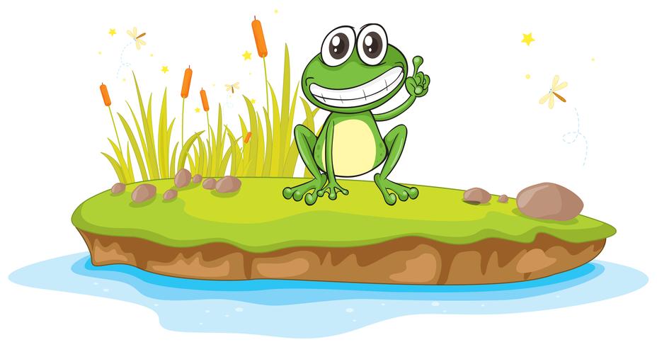 a frog and water vector