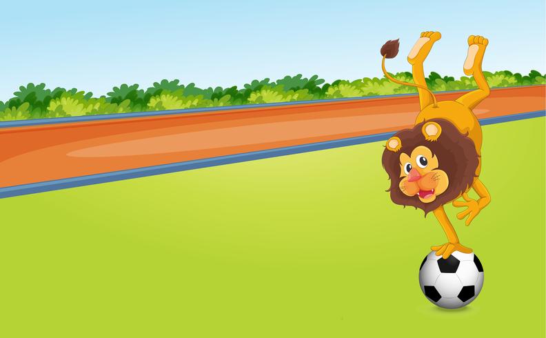 a lion and ball vector