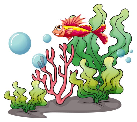 A fish under the sea vector